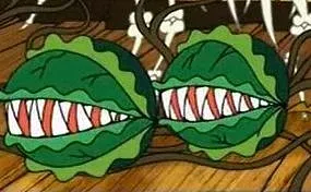 Plantas carnívoras