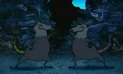 Ratas bailarinas